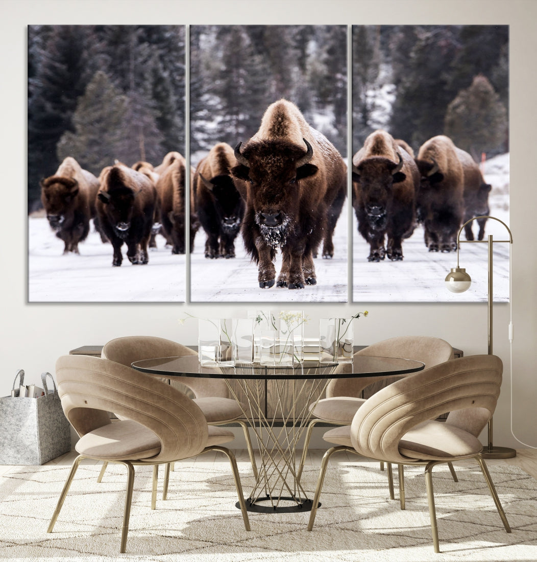 Buffalo Family Wall Art Canvas Print, Bison Wall Art Canvas