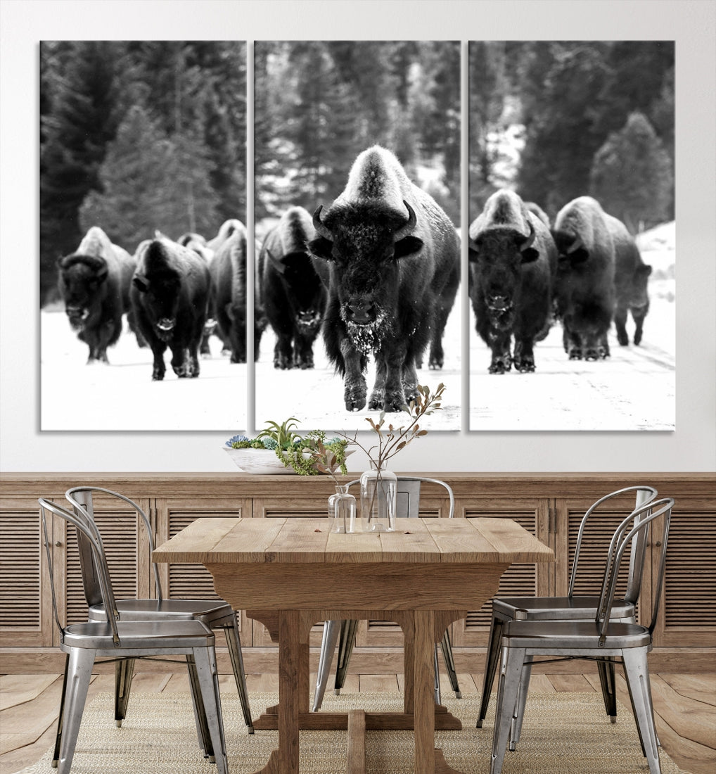 Buffalo Herd Wall Art Canvas Print, Bison Canvas Print