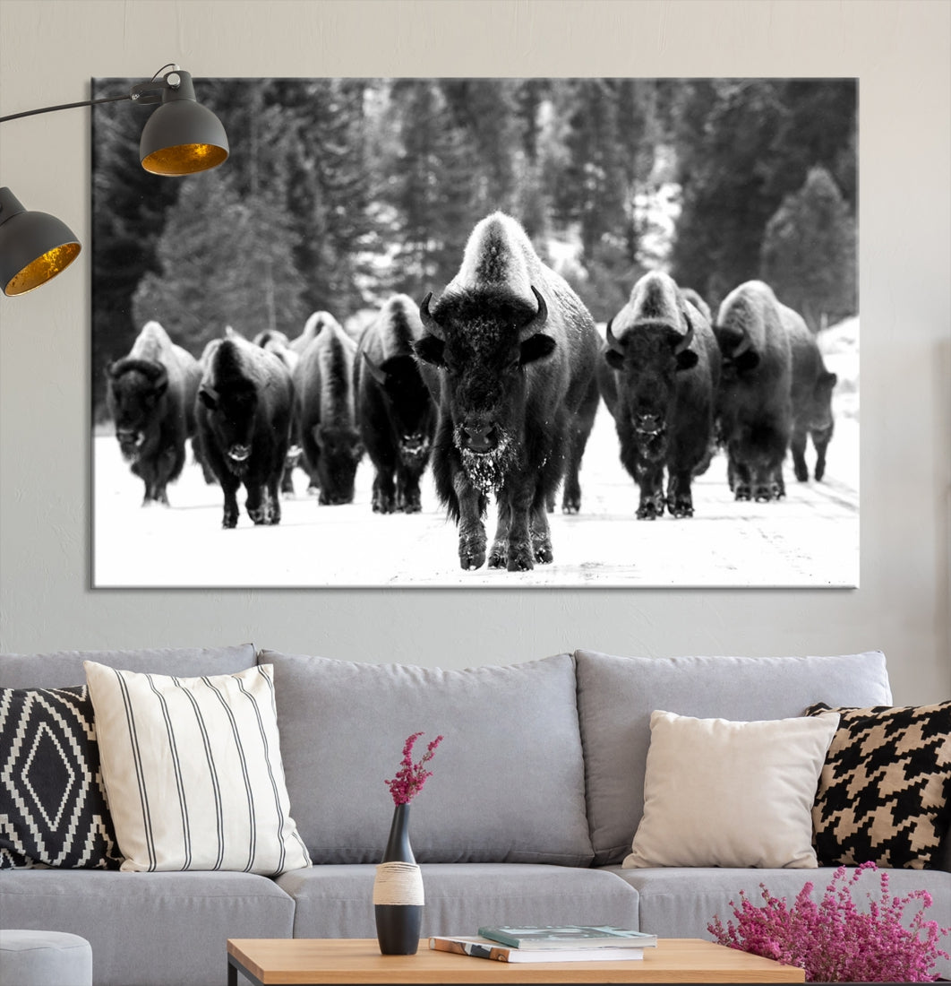 Buffalo Herd Wall Art Canvas Print, Bison Canvas Print