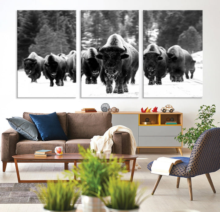 Buffalo Herd Wall Art Canvas Print, Bison Canvas Print