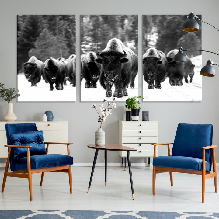 Buffalo Herd Wall Art Canvas Print, Bison Canvas Print