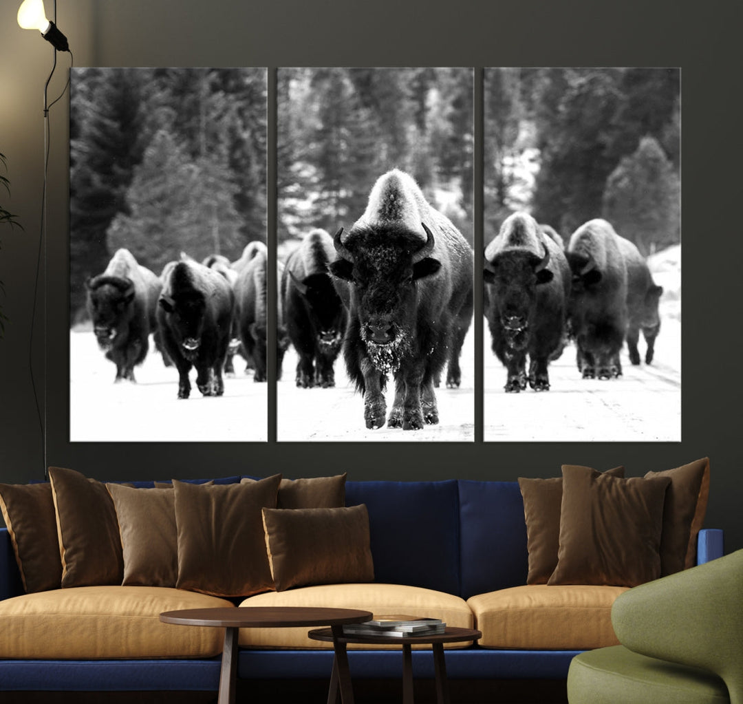 Buffalo Herd Wall Art Canvas Print, Bison Canvas Print