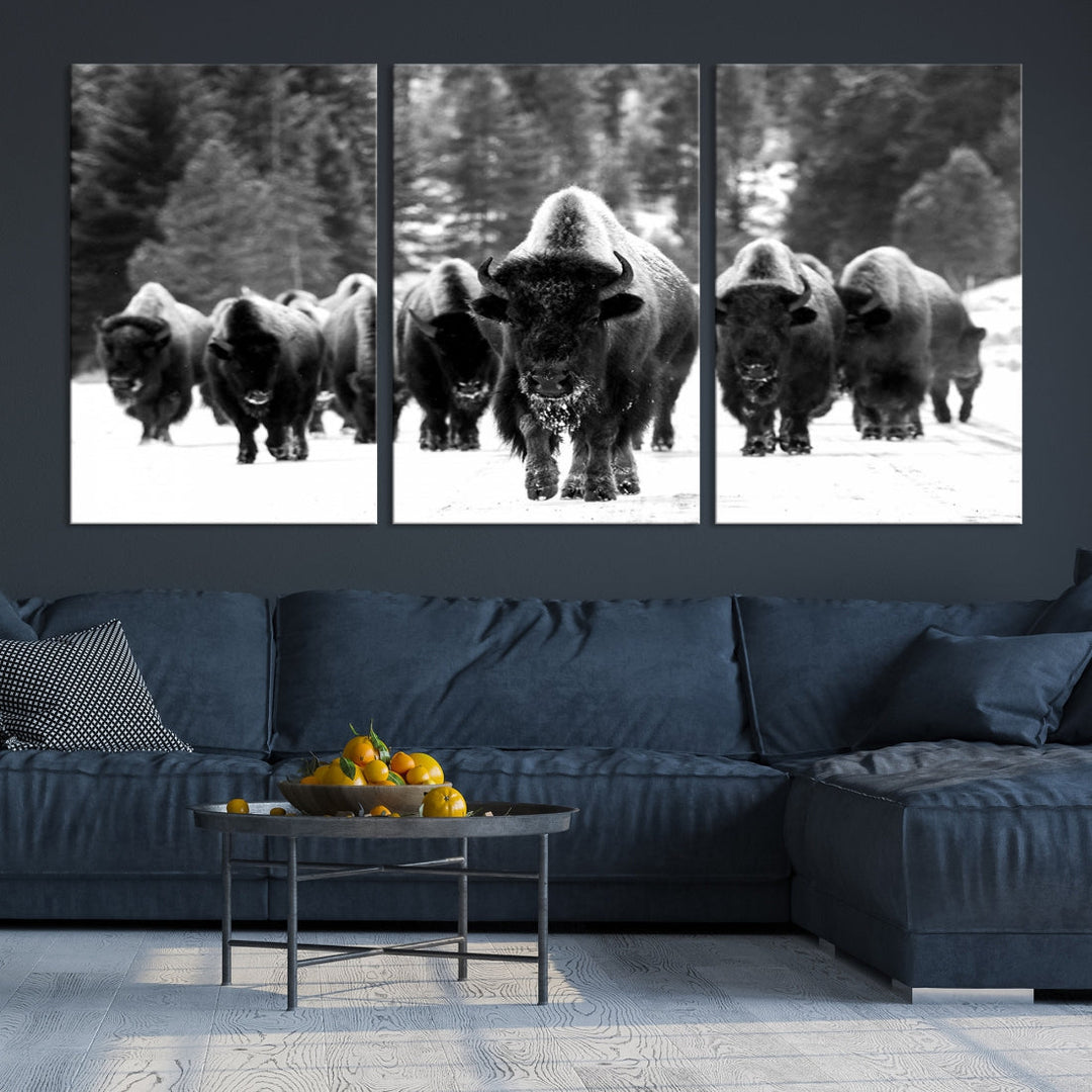 Buffalo Herd Wall Art Canvas Print, Bison Canvas Print