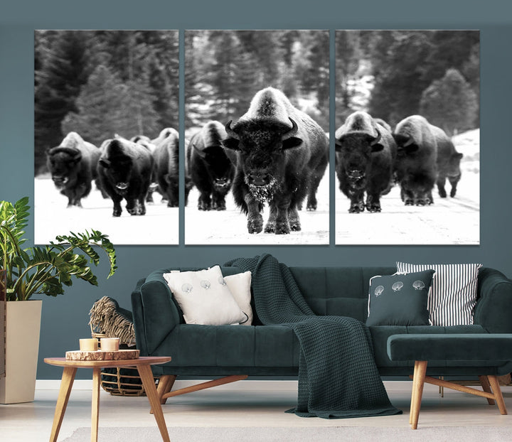 Buffalo Herd Wall Art Canvas Print, Bison Canvas Print