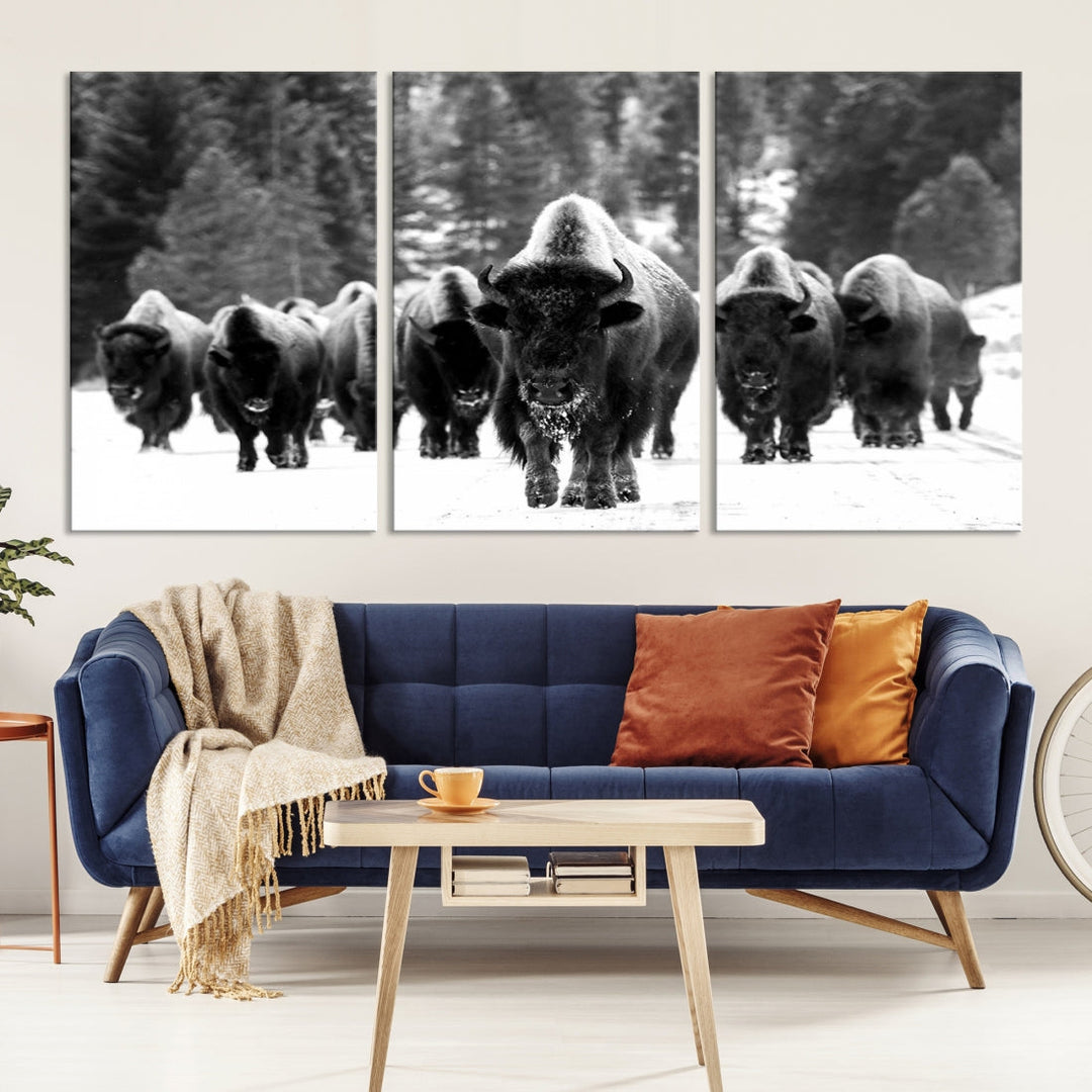 Buffalo Herd Wall Art Canvas Print, Bison Canvas Print