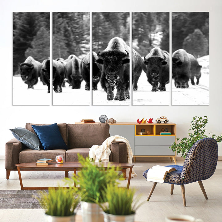 Buffalo Herd Wall Art Canvas Print, Bison Canvas Print