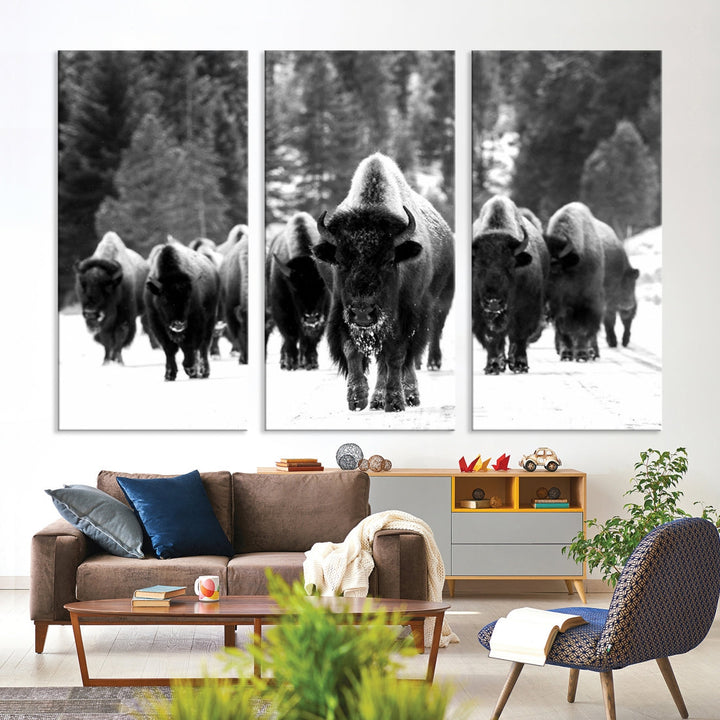 Buffalo Herd Wall Art Canvas Print, Bison Canvas Print