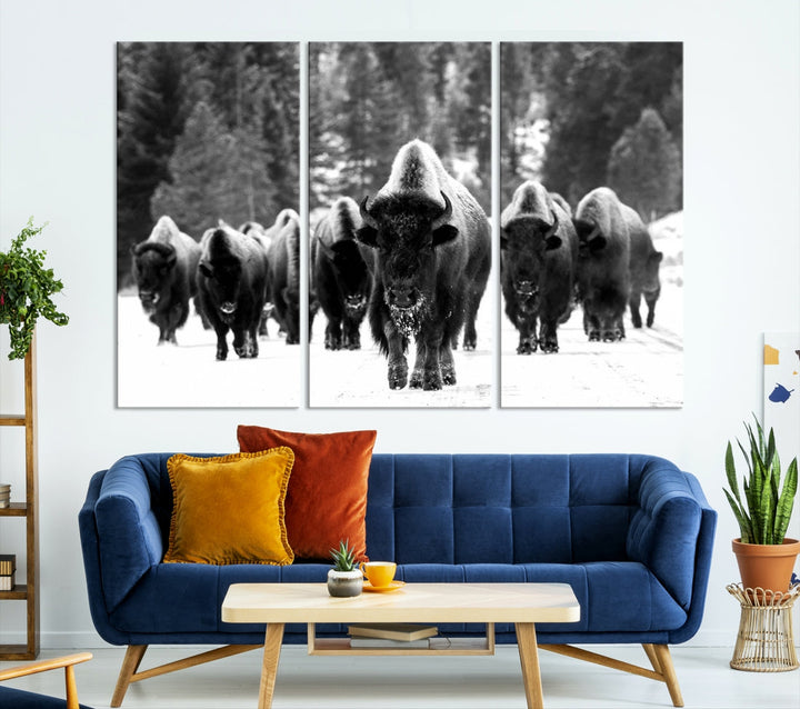 Buffalo Herd Wall Art Canvas Print, Bison Canvas Print