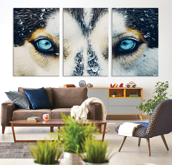 Close-up Picture of Siberian Wolf Art Print, Blue Eye Wolf Alaska Canvas Print Large Wall Art