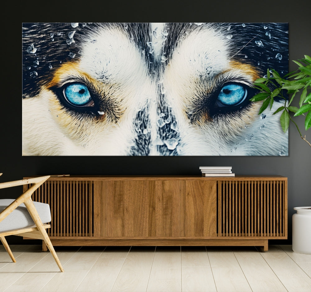 Close-up Picture of Siberian Wolf Art Print, Blue Eye Wolf Alaska Canvas Print Large Wall Art