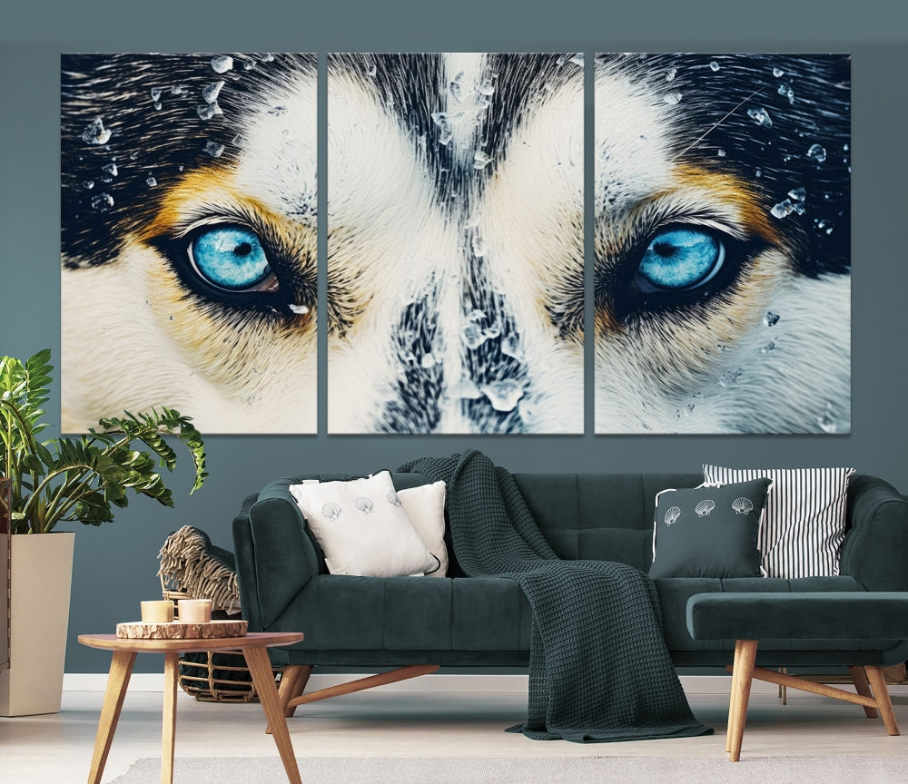 Close-up Picture of Siberian Wolf Art Print, Blue Eye Wolf Alaska Canvas Print Large Wall Art