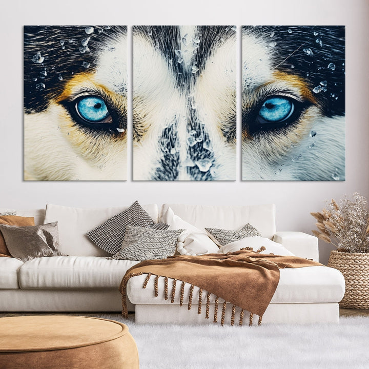 Close-up Picture of Siberian Wolf Art Print, Blue Eye Wolf Alaska Canvas Print Large Wall Art