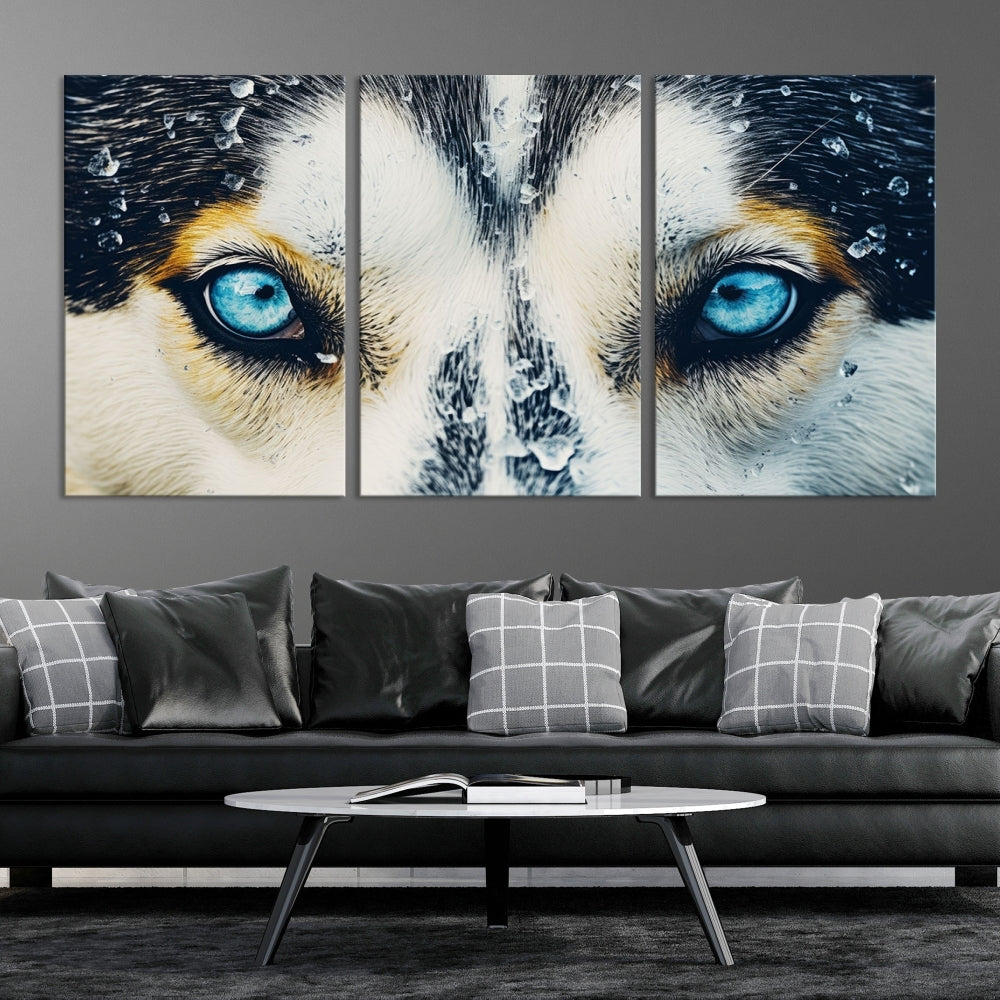 Close-up Picture of Siberian Wolf Art Print, Blue Eye Wolf Alaska Canvas Print Large Wall Art