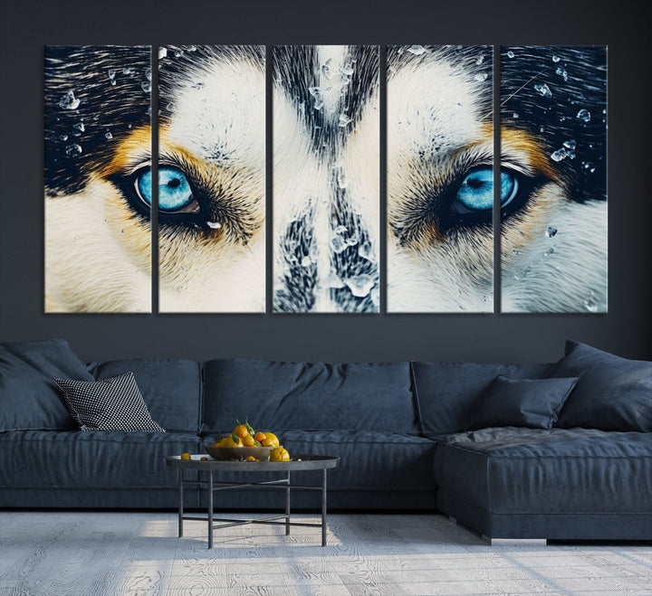 Close-up Picture of Siberian Wolf Art Print, Blue Eye Wolf Alaska Canvas Print Large Wall Art