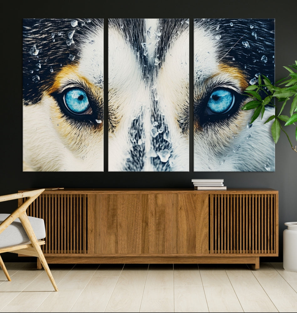 Close-up Picture of Siberian Wolf Art Print, Blue Eye Wolf Alaska Canvas Print Large Wall Art