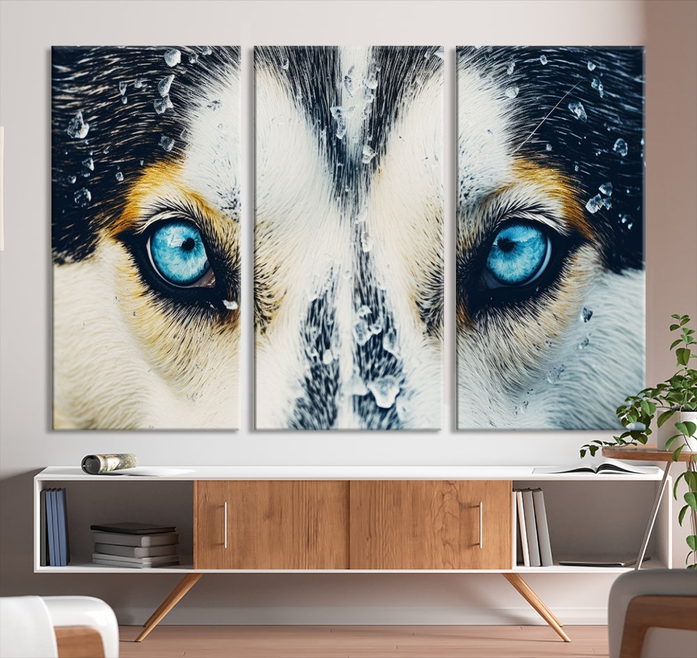 Close-up Picture of Siberian Wolf Art Print, Blue Eye Wolf Alaska Canvas Print Large Wall Art