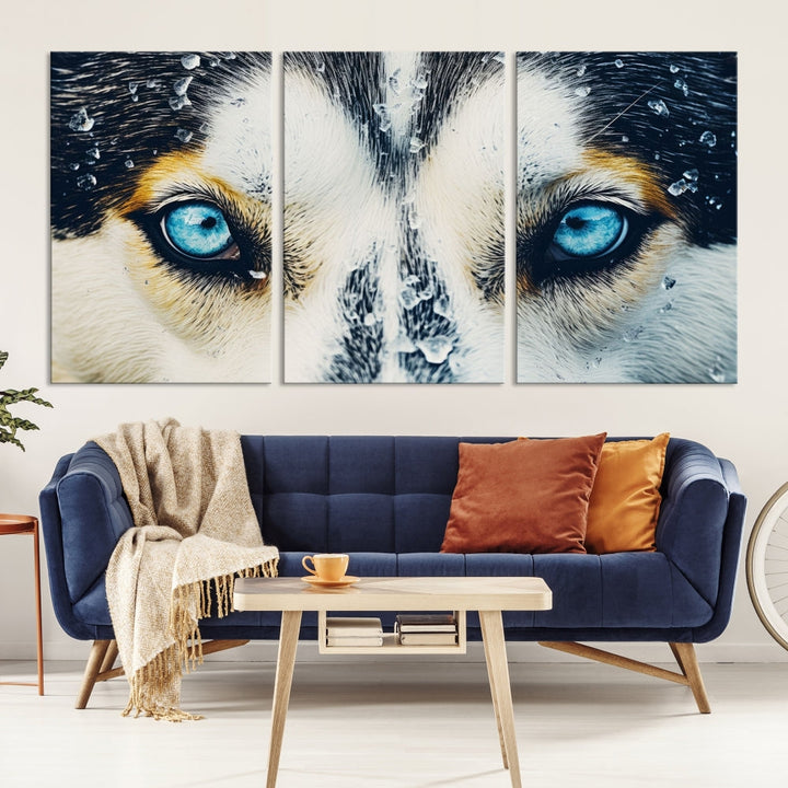 Close-up Picture of Siberian Wolf Art Print, Blue Eye Wolf Alaska Canvas Print Large Wall Art