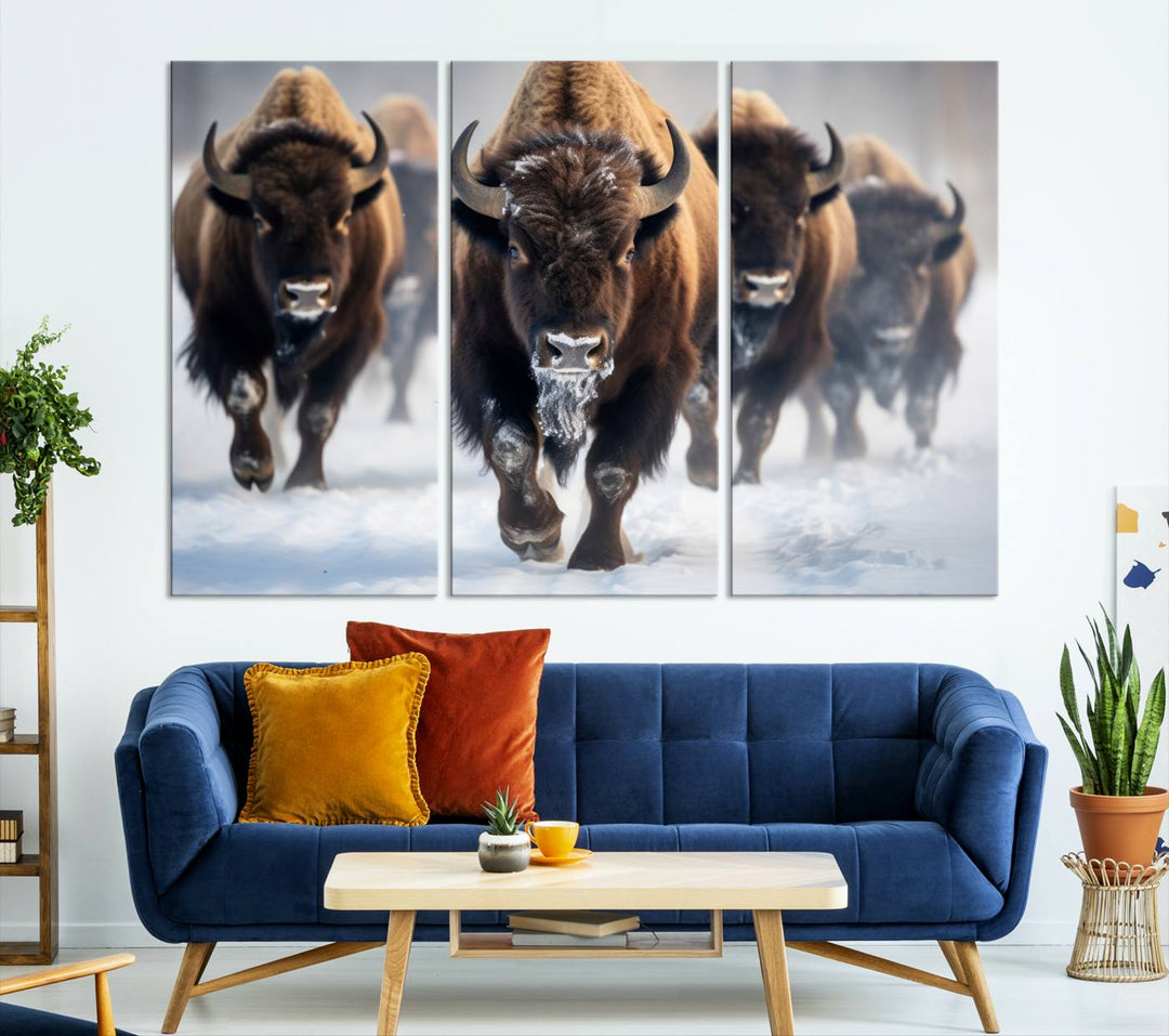 Cow Bighorn Wall Art Canvas Print, Longhorn Texas Large Cow Animal Canvas Print