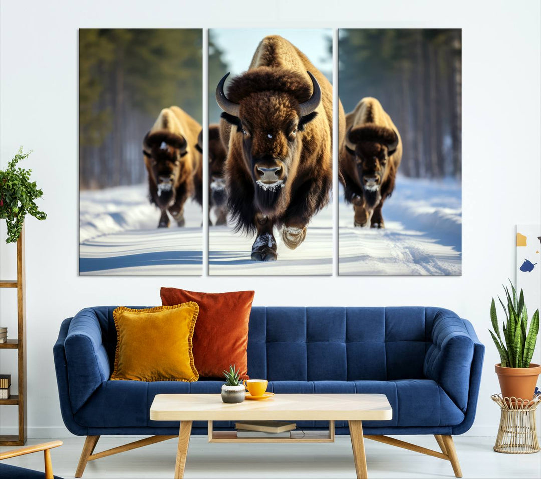 Cow Bighorn Wall Art Canvas Print, Longhorn Texas Large Cow Animal Canvas Print