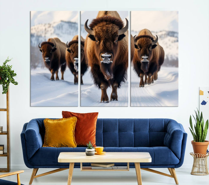 Cow Bighorn Wall Art Canvas Print, Longhorn Texas Large Cow Animal Canvas Print