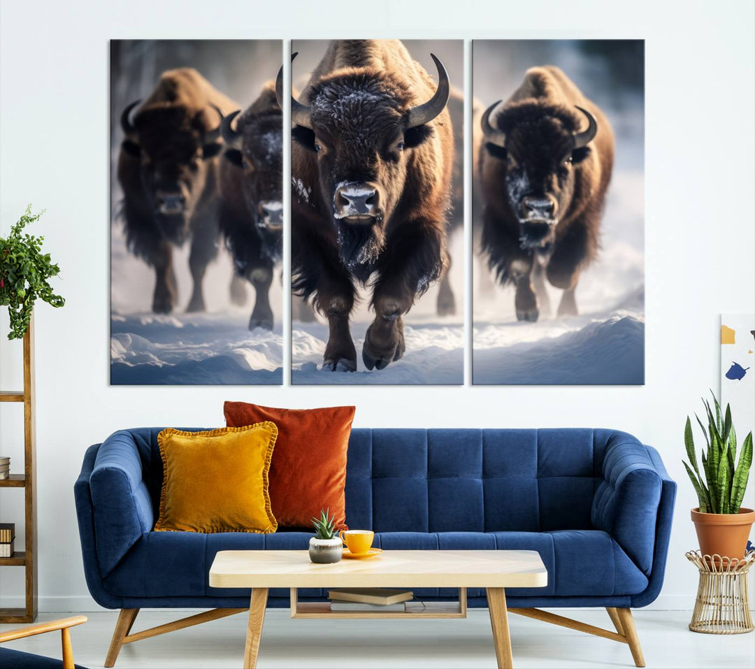 Cow Bighorn Wall Art Canvas Print, Longhorn Texas Large Cow Animal Canvas Print