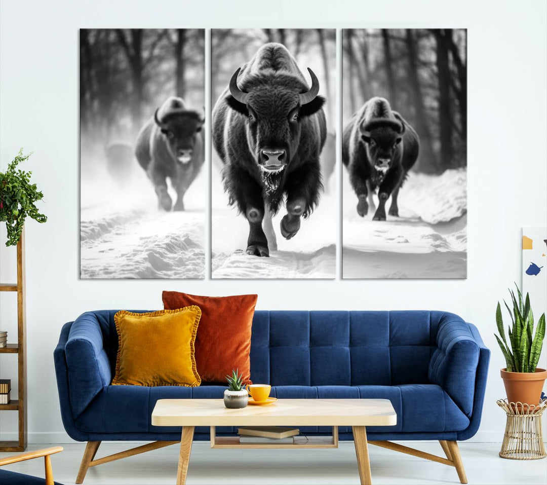 Cow Bighorn Wall Art Canvas Print, Longhorn Texas Large Cow Animal Canvas Print