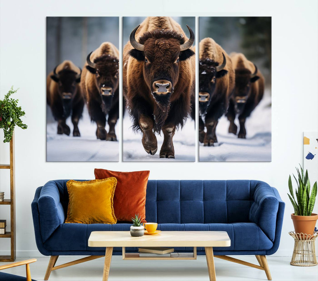 Cow Bighorn Wall Art Canvas Print, Longhorn Texas Large Cow Animal Canvas Print