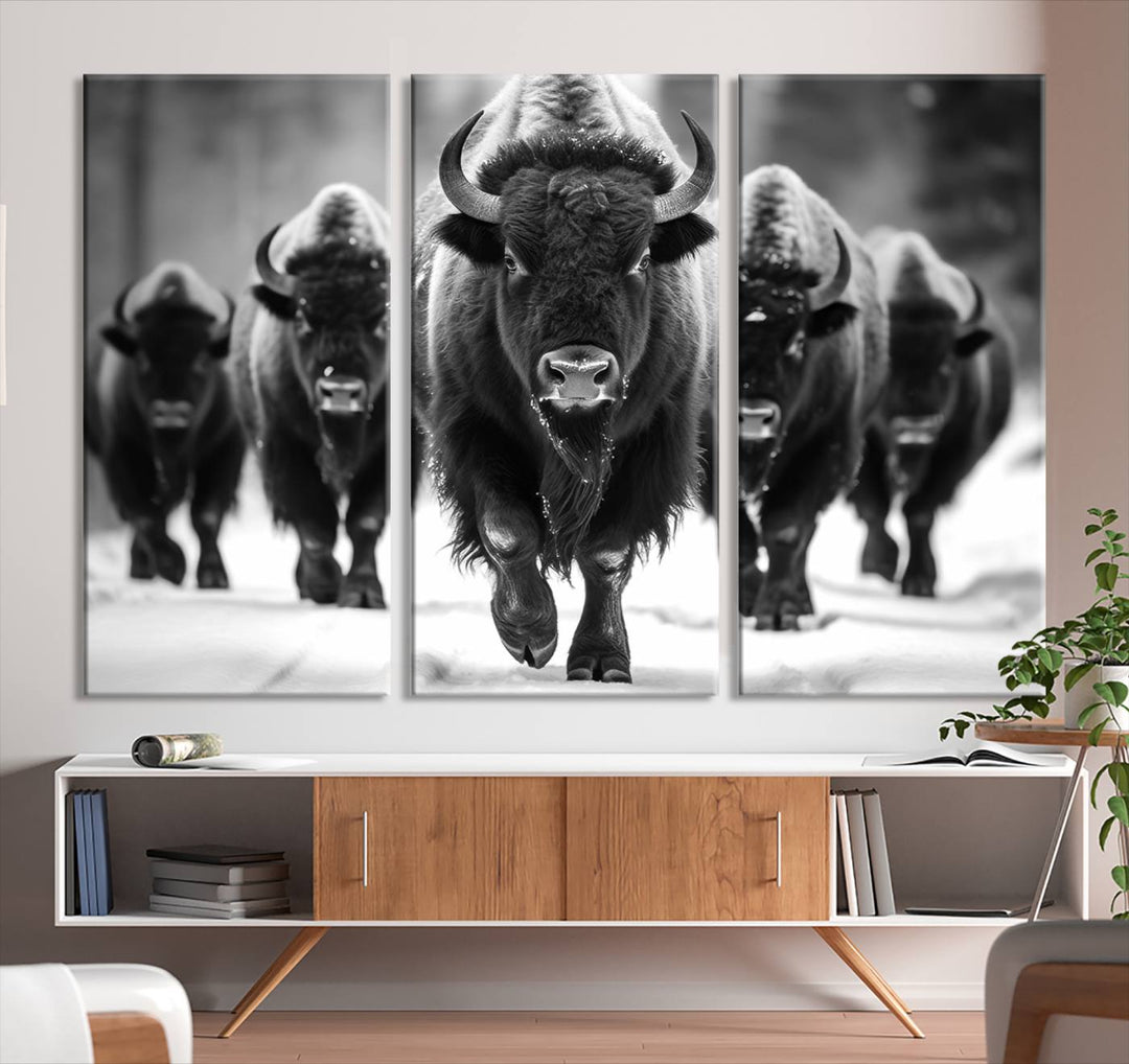 Cow Bighorn Wall Art Canvas Print, Longhorn Texas Large Cow Animal Canvas Print