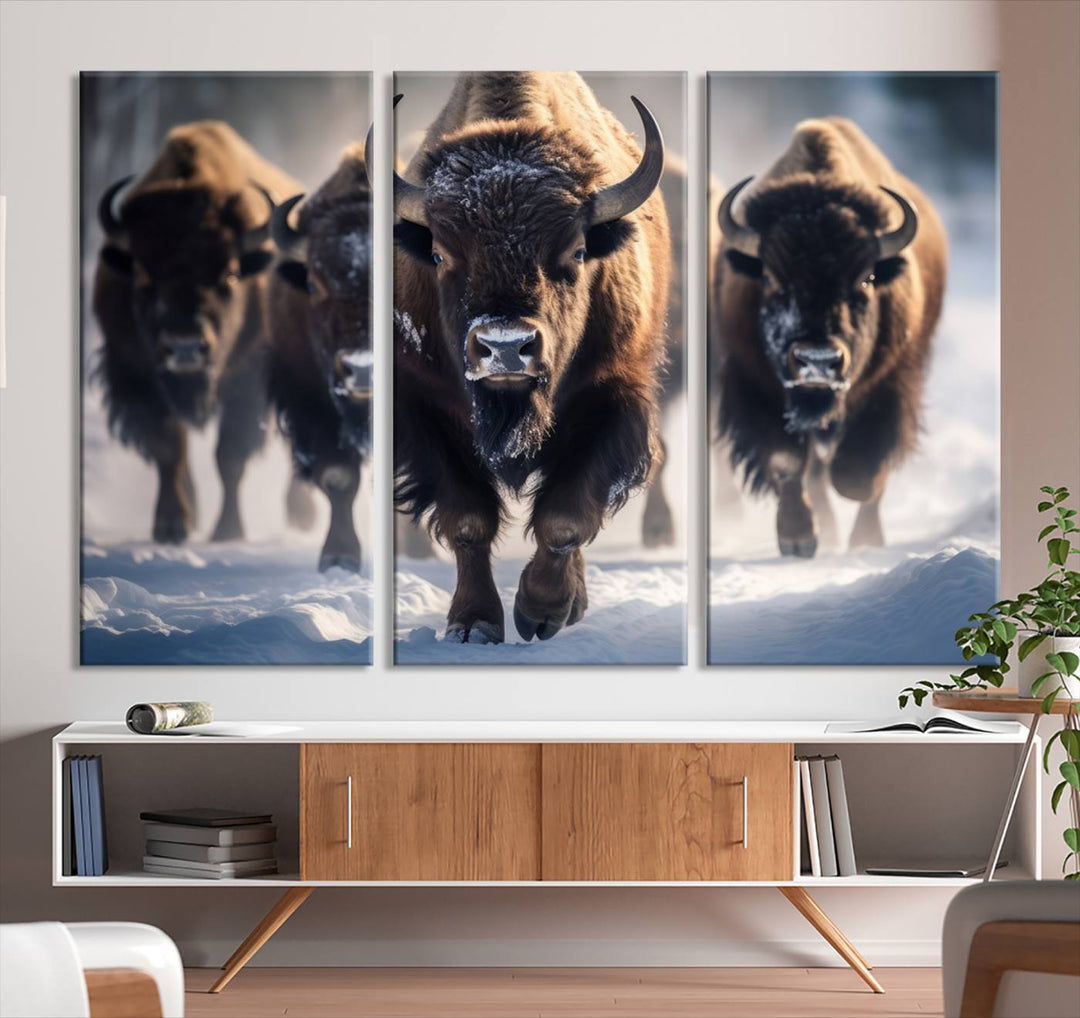 Cow Bighorn Wall Art Canvas Print, Longhorn Texas Large Cow Animal Canvas Print