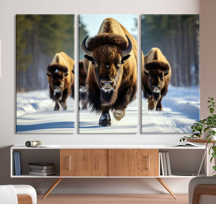 Cow Bighorn Wall Art Canvas Print, Longhorn Texas Large Cow Animal Canvas Print