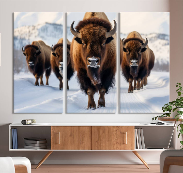 Cow Bighorn Wall Art Canvas Print, Longhorn Texas Large Cow Animal Canvas Print