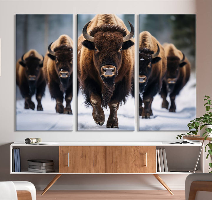 Cow Bighorn Wall Art Canvas Print, Longhorn Texas Large Cow Animal Canvas Print