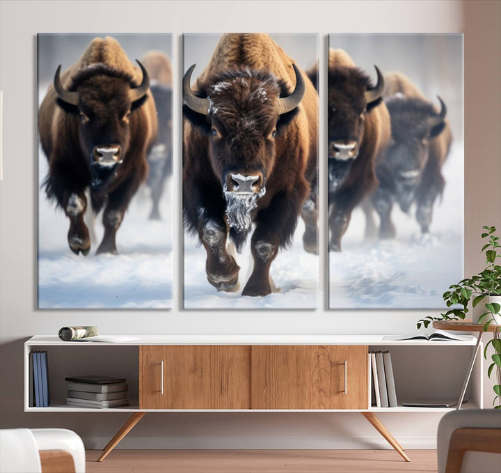 Cow Bighorn Wall Art Canvas Print, Longhorn Texas Large Cow Animal Canvas Print