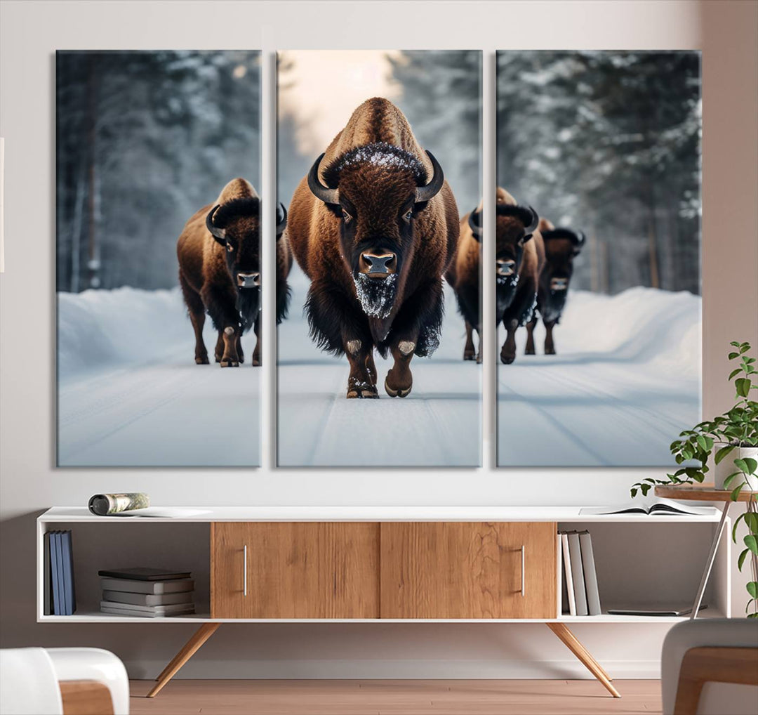 Cow Bighorn Wall Art Canvas Print, Longhorn Texas Large Cow Animal Canvas Print