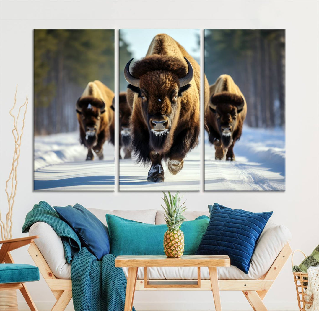 Cow Bighorn Wall Art Canvas Print, Longhorn Texas Large Cow Animal Canvas Print