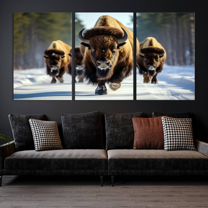 Cow Bighorn Wall Art Canvas Print, Longhorn Texas Large Cow Animal Canvas Print