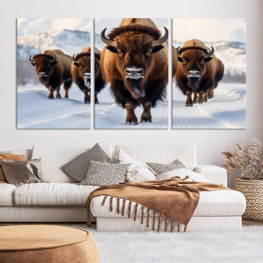 Cow Bighorn Wall Art Canvas Print, Longhorn Texas Large Cow Animal Canvas Print