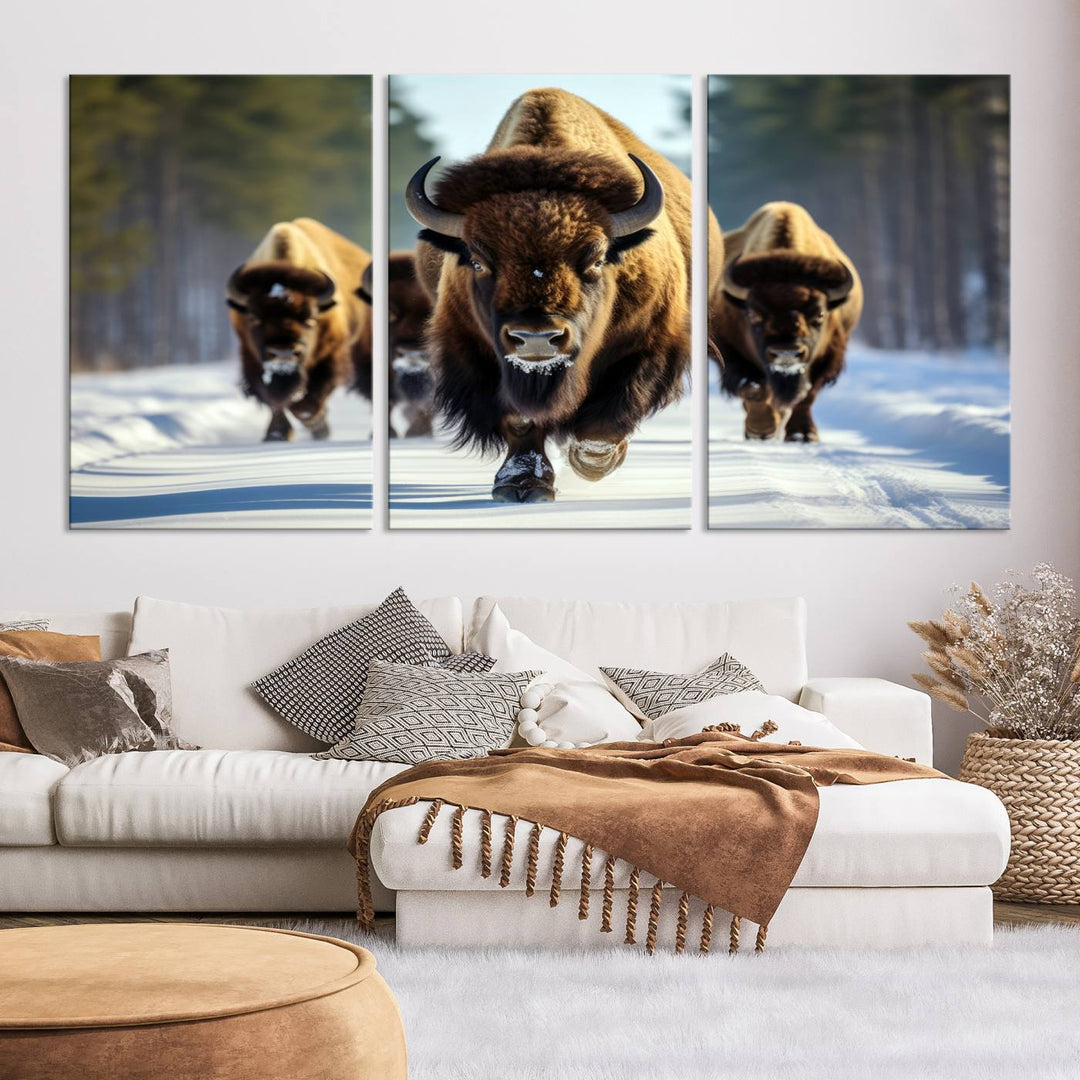 Cow Bighorn Wall Art Canvas Print, Longhorn Texas Large Cow Animal Canvas Print