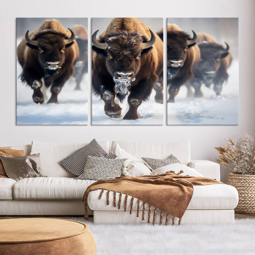 Cow Bighorn Wall Art Canvas Print, Longhorn Texas Large Cow Animal Canvas Print