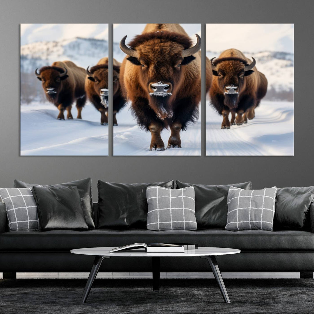 Cow Bighorn Wall Art Canvas Print, Longhorn Texas Large Cow Animal Canvas Print