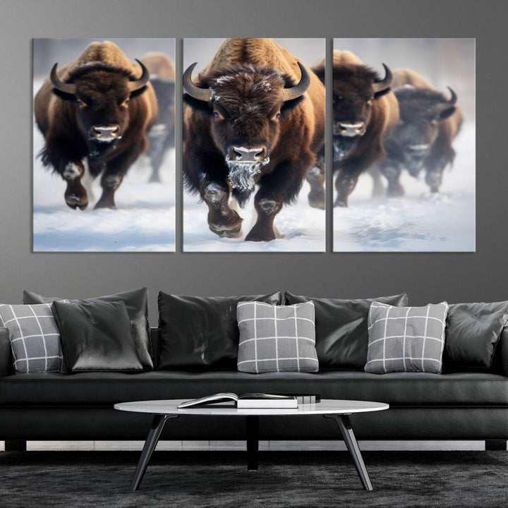 Cow Bighorn Wall Art Canvas Print, Longhorn Texas Large Cow Animal Canvas Print