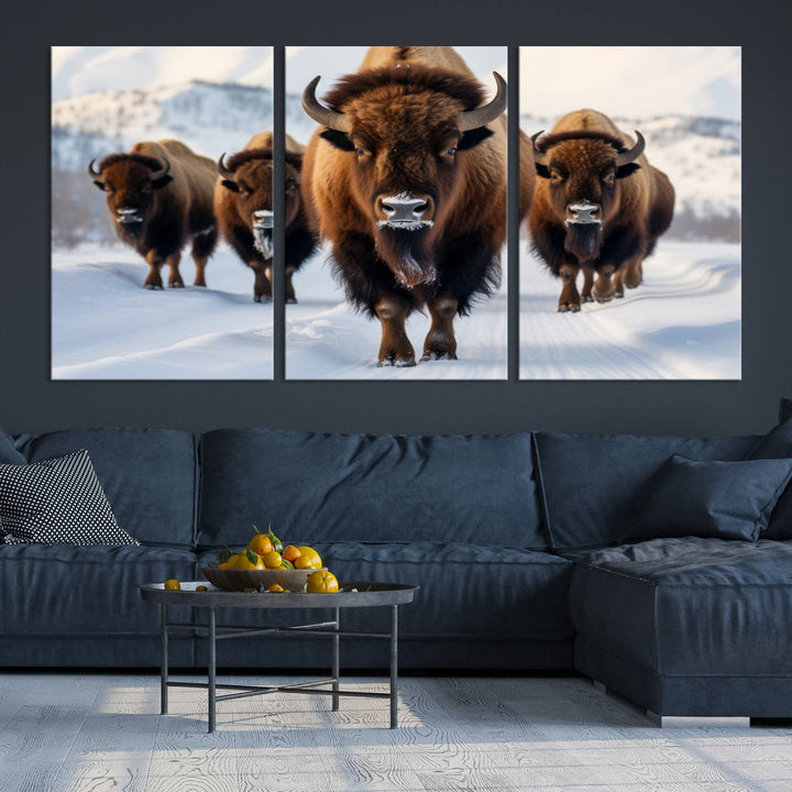 Cow Bighorn Wall Art Canvas Print, Longhorn Texas Large Cow Animal Canvas Print