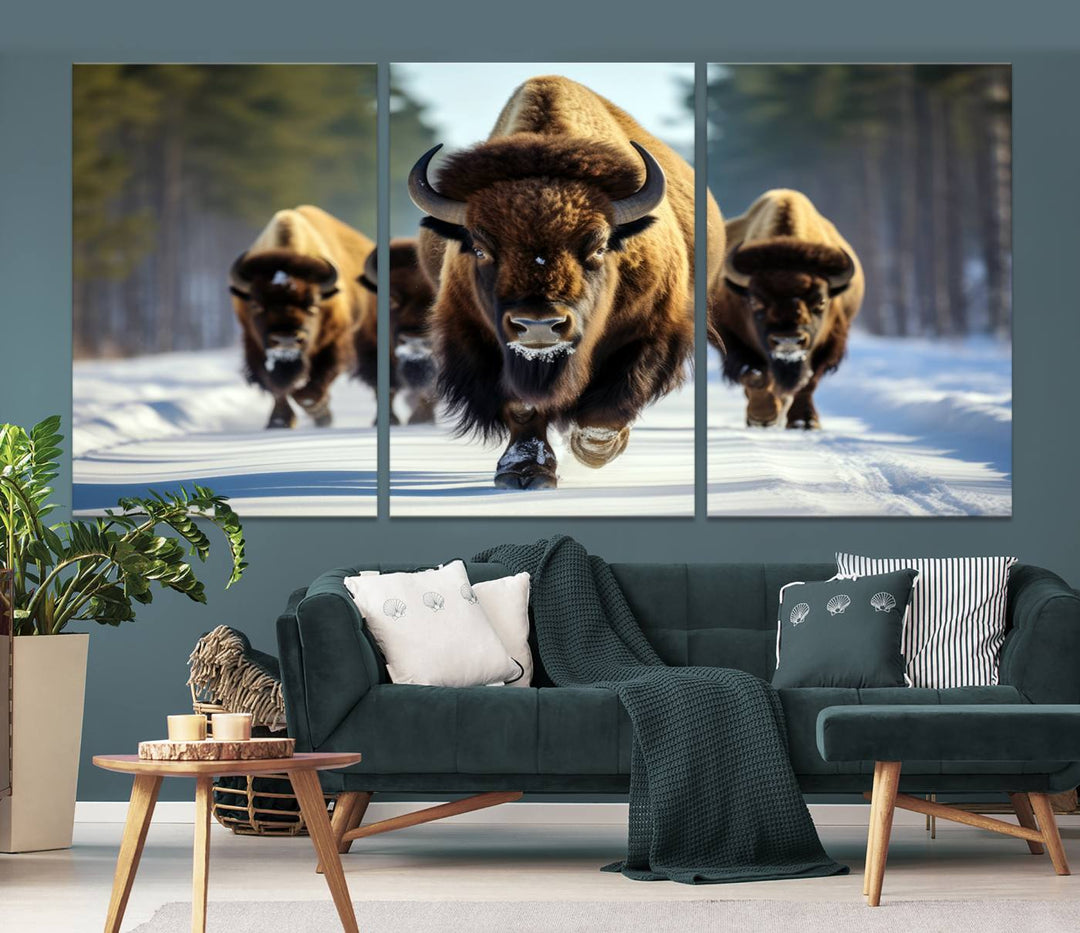 Cow Bighorn Wall Art Canvas Print, Longhorn Texas Large Cow Animal Canvas Print