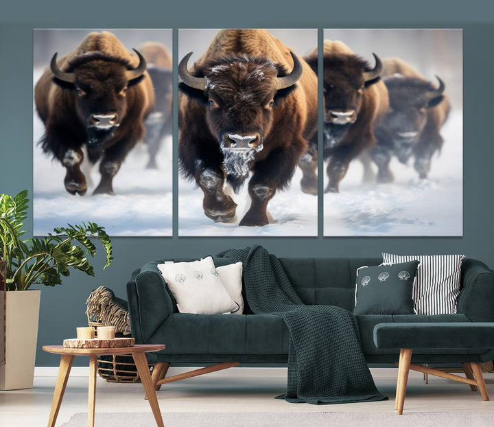 Cow Bighorn Wall Art Canvas Print, Longhorn Texas Large Cow Animal Canvas Print