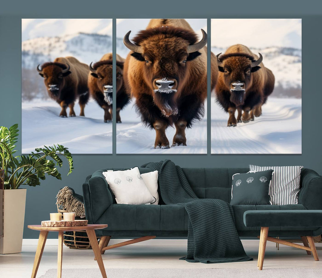 Cow Bighorn Wall Art Canvas Print, Longhorn Texas Large Cow Animal Canvas Print