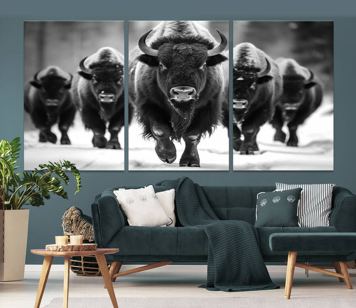 Cow Bighorn Wall Art Canvas Print, Longhorn Texas Large Cow Animal Canvas Print