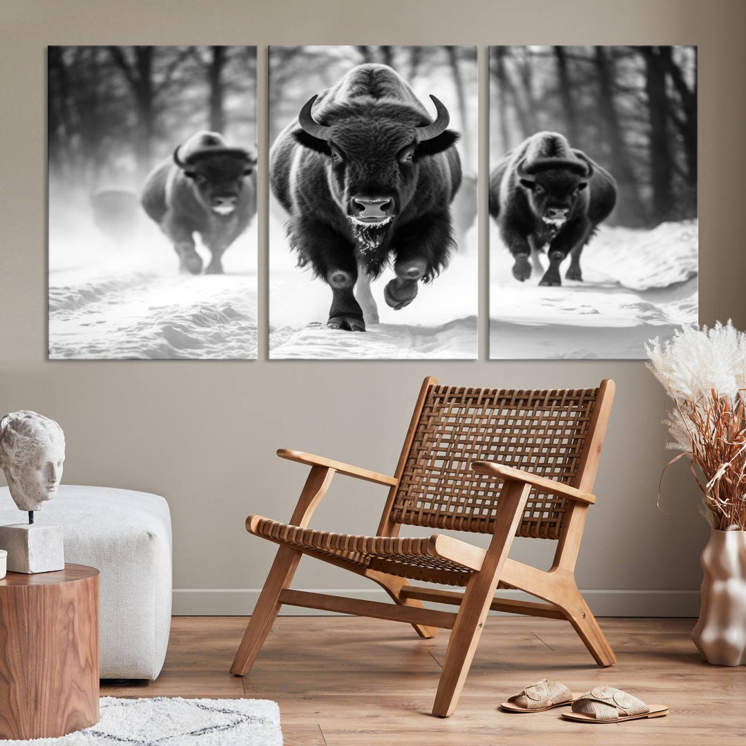 Cow Bighorn Wall Art Canvas Print, Longhorn Texas Large Cow Animal Canvas Print