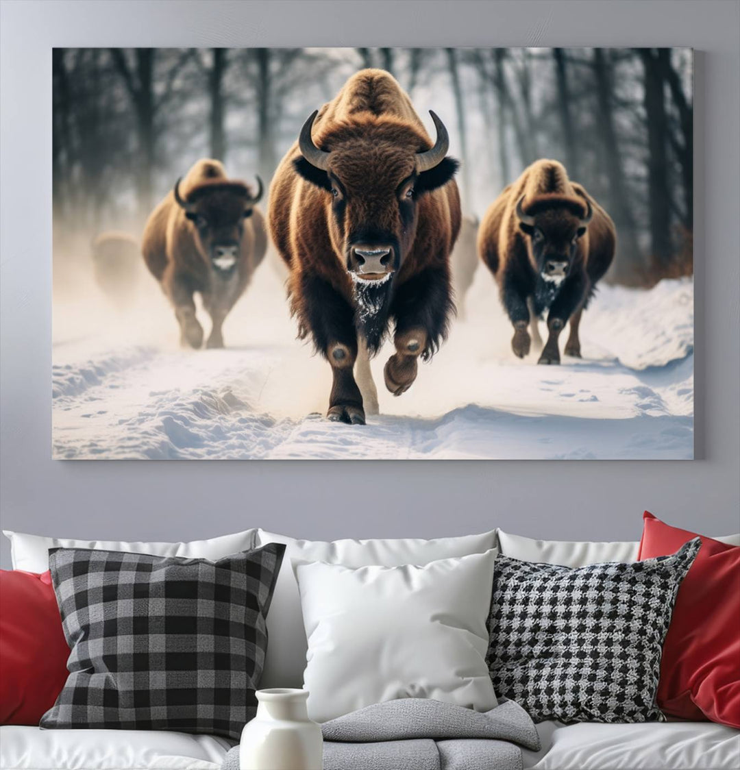 Cow Bighorn Wall Art Canvas Print, Longhorn Texas Large Cow Animal Canvas Print