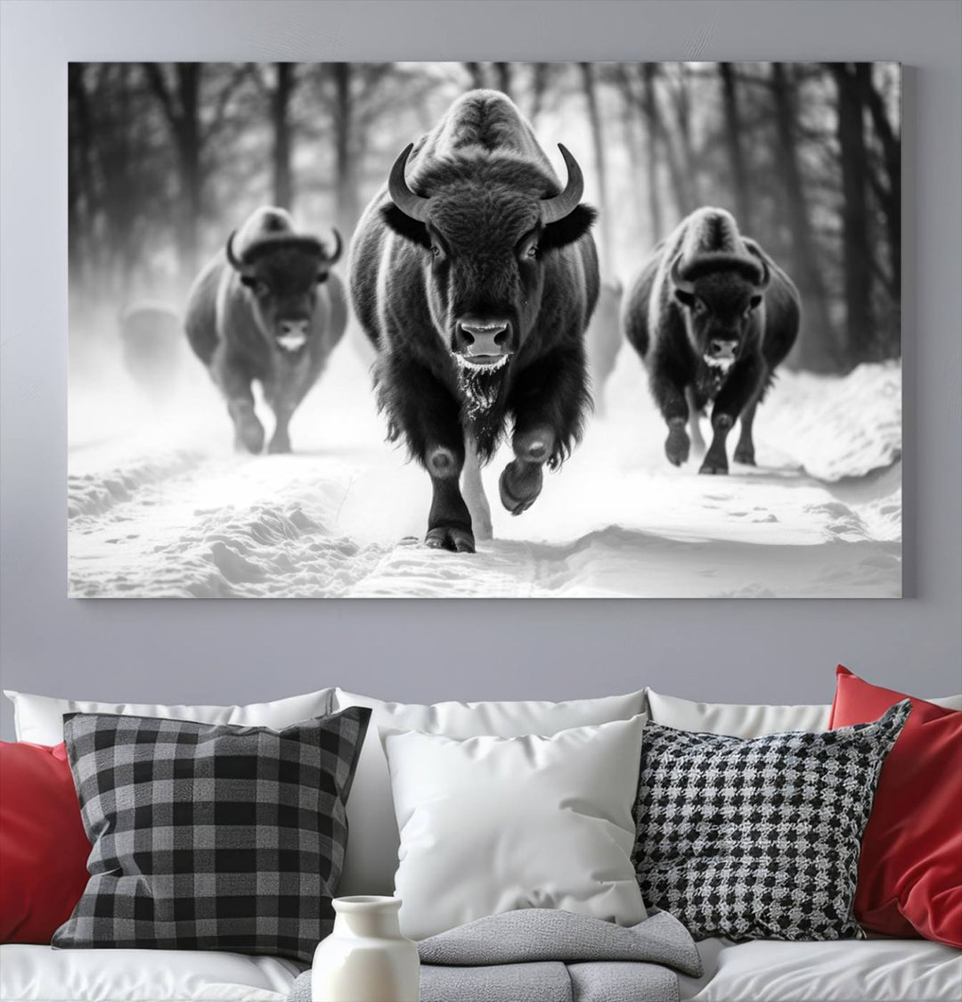 Cow Bighorn Wall Art Canvas Print, Longhorn Texas Large Cow Animal Canvas Print