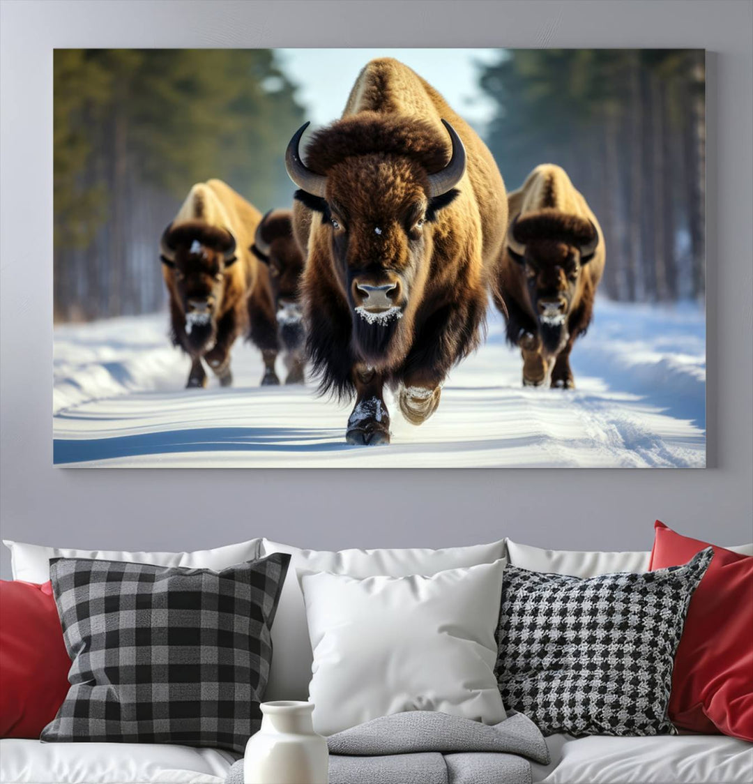 Cow Bighorn Wall Art Canvas Print, Longhorn Texas Large Cow Animal Canvas Print